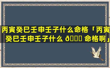 丙寅癸巳壬申壬子什么命格「丙寅癸巳壬申壬子什么 🍀 命格啊」